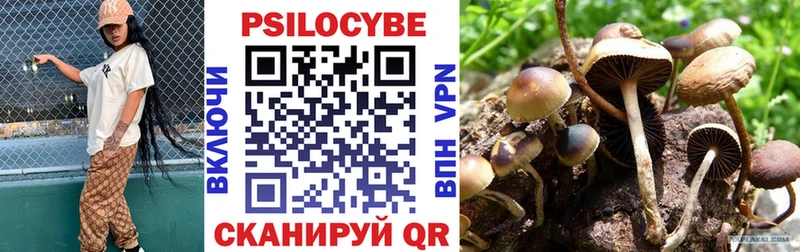 MEGA tor  где купить наркотик  Конаково  Галлюциногенные грибы MAGIC MUSHROOMS 