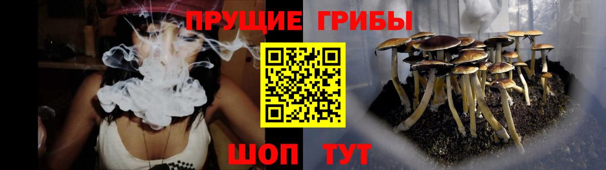 Галлюциногенные грибы прущие грибы  Галлюциногенные грибы ЛСД  Конаково  Вход с VPN 
